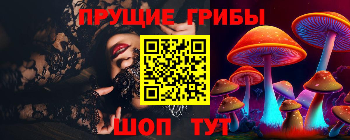 Электросталь  Галлюциногенные грибы прущие грибы  Вход с VPN 